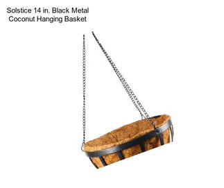 Solstice 14 in. Black Metal Coconut Hanging Basket