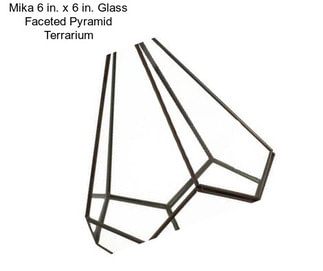 Mika 6 in. x 6 in. Glass Faceted Pyramid Terrarium