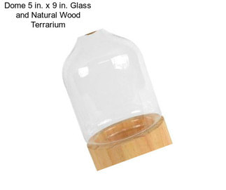 Dome 5 in. x 9 in. Glass and Natural Wood Terrarium