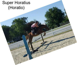 Super Horatius (Horatio)