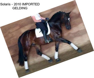 Solaris - 2010 IMPORTED GELDING