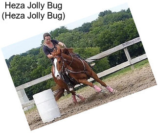 Heza Jolly Bug (Heza Jolly Bug)