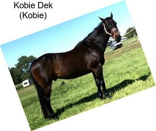 Kobie Dek (Kobie)