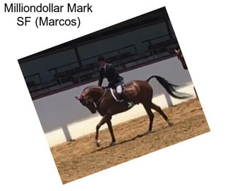 Milliondollar Mark SF (Marcos)