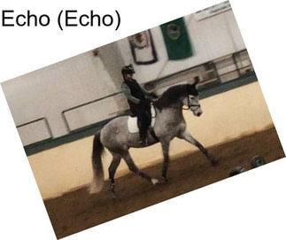 Echo (Echo)