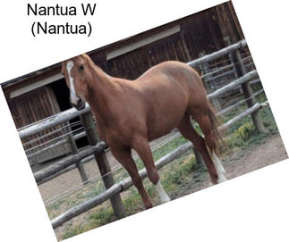 Nantua W (Nantua)