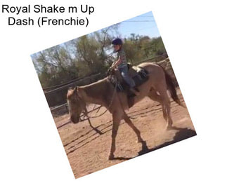 Royal Shake m Up Dash (Frenchie)