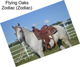 Flying Oaks Zodiac (Zodiac)