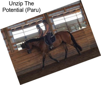 Unzip The Potential (Paru)