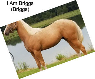 I Am Briggs (Briggs)