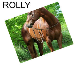 ROLLY