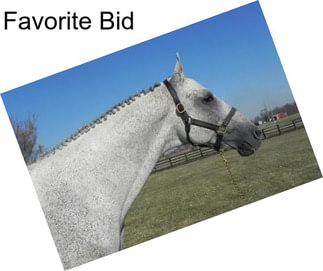 Favorite Bid