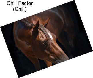 Chill Factor (Chili)