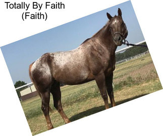 Totally By Faith (Faith)