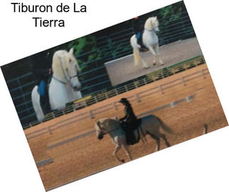 Tiburon de La Tierra