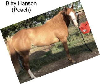 Bitty Hanson (Peach)