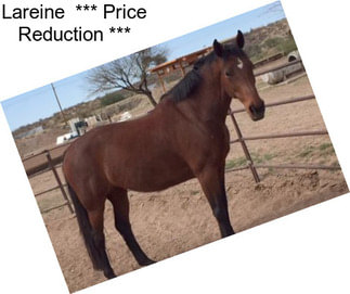 Lareine  *** Price Reduction ***