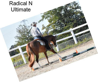 Radical N Ultimate