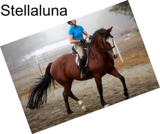 Stellaluna