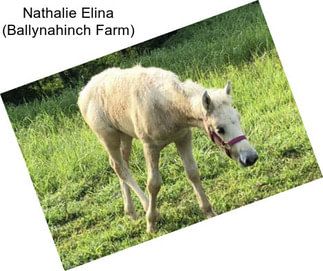 Nathalie Elina (Ballynahinch Farm)