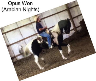 Opus Won (Arabian Nights)