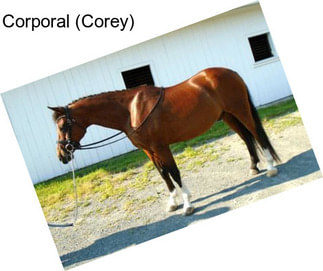 Corporal (Corey)