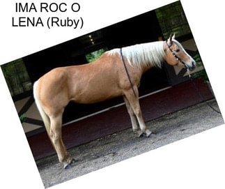 IMA ROC O LENA (Ruby)