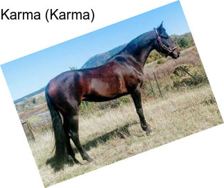 Karma (Karma)