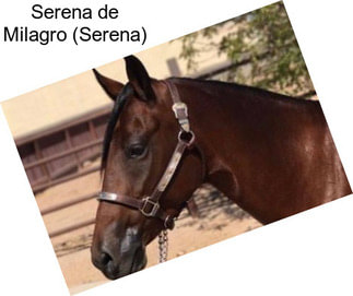 Serena de Milagro (Serena)