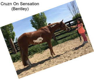 Cruzn On Sensation (Bentley)