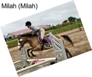 Milah (Milah)