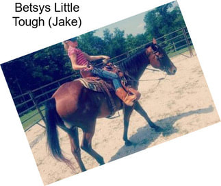 Betsys Little Tough (Jake)