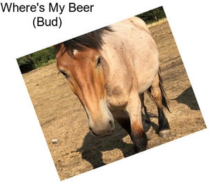 Where\'s My Beer (Bud)