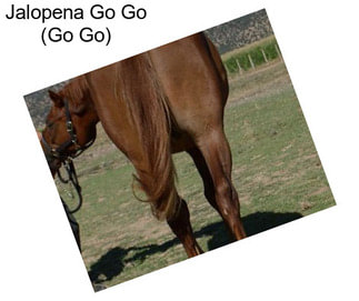 Jalopena Go Go (Go Go)