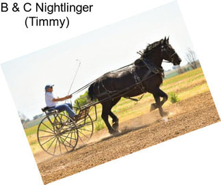 B & C Nightlinger (Timmy)