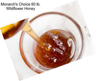 Monarch\'s Choice 60 lb. Wildflower Honey