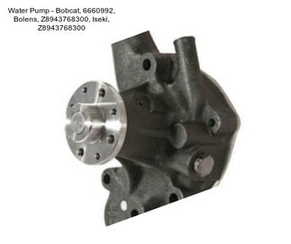 Water Pump - Bobcat, 6660992, Bolens, Z8943768300, Iseki, Z8943768300