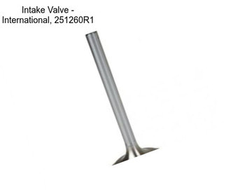 Intake Valve - International, 251260R1