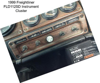 1999 Freightliner FLD112SD Instrument Cluster