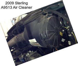 2009 Sterling A9513 Air Cleaner