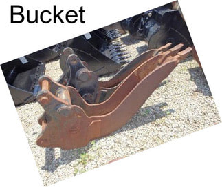 Bucket