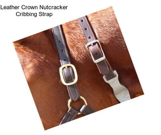 Leather Crown Nutcracker Cribbing Strap