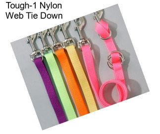 Tough-1 Nylon Web Tie Down