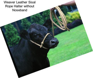 Weaver Leather Sisal Rope Halter without Noseband
