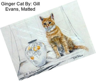 Ginger Cat By: Gill Evans, Matted