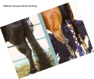 TailWrap Techquine Braid Tail Wrap