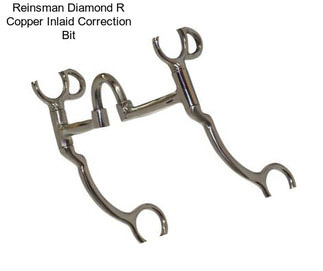 Reinsman Diamond R Copper Inlaid Correction Bit