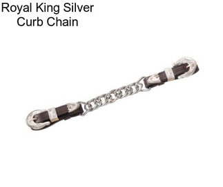 Royal King Silver Curb Chain