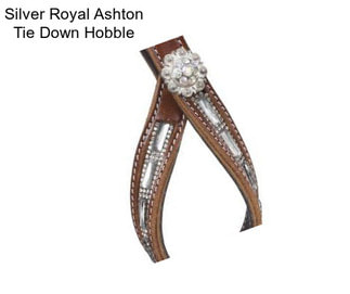 Silver Royal Ashton Tie Down Hobble