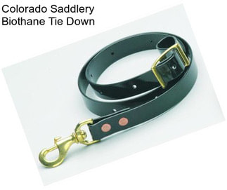 Colorado Saddlery Biothane Tie Down